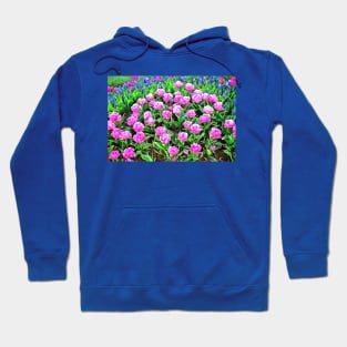 Fancy Pink Tulips with Grape Hyacinths Hoodie